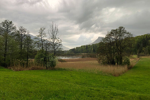 Rundweg Bärnsee Aschau